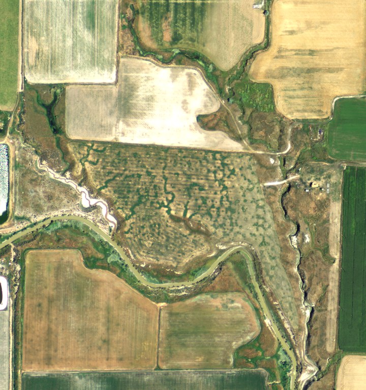 NAIP aerial photograph from 15 July 2011: dense brush and trees fill the middle of the parcel and follow the meandering creek.