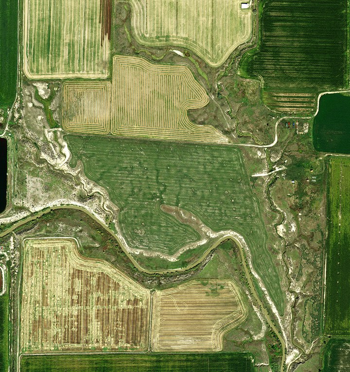 NAIP aerial photograph from 28 August 2014: the middle of the parcel has been cleared and planted in rows; the brush along the creek is still standing.