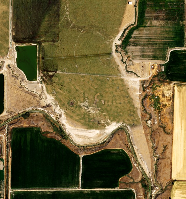 NAIP aerial photograph from 17 August 2018: the field in crop under the pivot, the reservoir full.