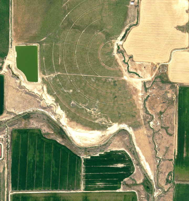 NAIP aerial photograph from 12 August 2021: the full center-pivot irrigation circle and the reservoir.