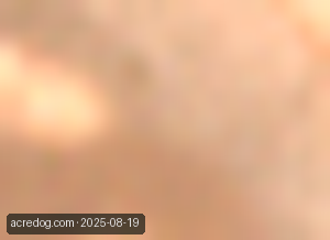 Sentinel-2 satellite view of the same field in 2025, showing bare ground with no vegetation.