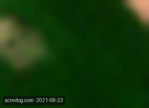 Sentinel-2 satellite view of the field at its 2021 peak, showing green full-canopy vegetation.