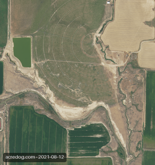 NAIP aerial photograph of the same parcel, captured 12 August 2021. Individual centre-pivot wheel tracks, field edges, a pond and drainage channels are all clearly visible.