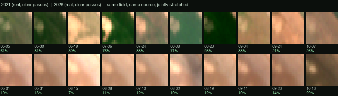 A grid of 20 real Sentinel-2 satellite images: 10 from 2021 showing consistent green vegetation across the growing season, and 10 from 2025 showing consistently bare ground across the same months, each labelled with its real date and measured greenness percentage.
